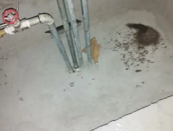 江油卫生间测漏水价格明细